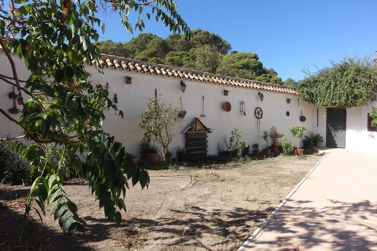 Galwey, Tourist Appartments With Wifi Malaga Bagian luar foto