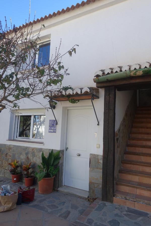 Galwey, Tourist Appartments With Wifi Malaga Bagian luar foto