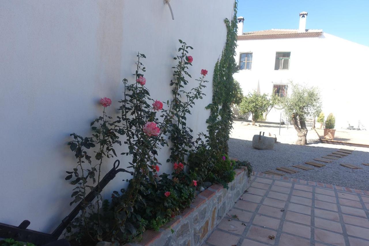 Galwey, Tourist Appartments With Wifi Malaga Bagian luar foto