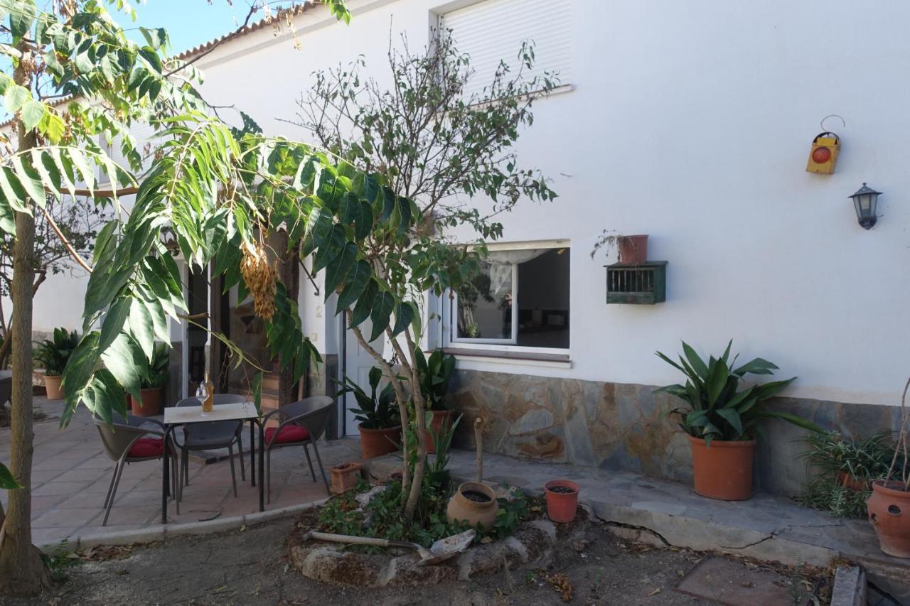 Galwey, Tourist Appartments With Wifi Malaga Bagian luar foto